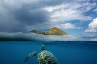 Komodo National Park