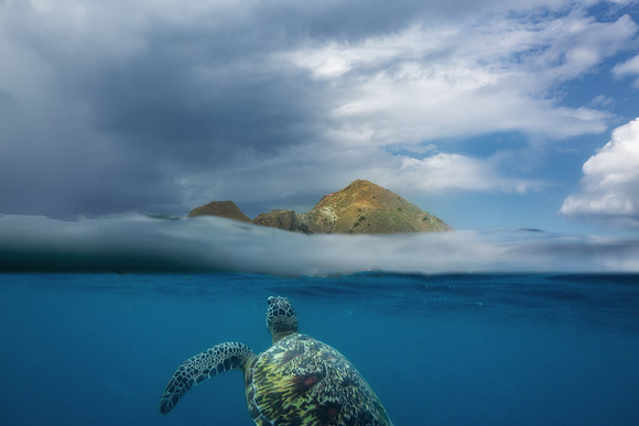 Komodo National Park