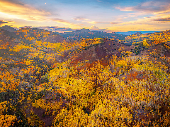 DJI_20250428040315_0754-1