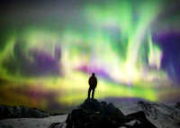 aurora-1