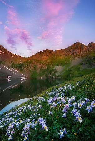 columbine copy-1
